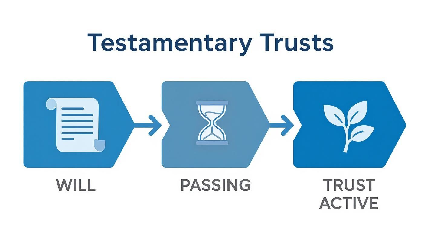 Infographic about what is a testamentary trust