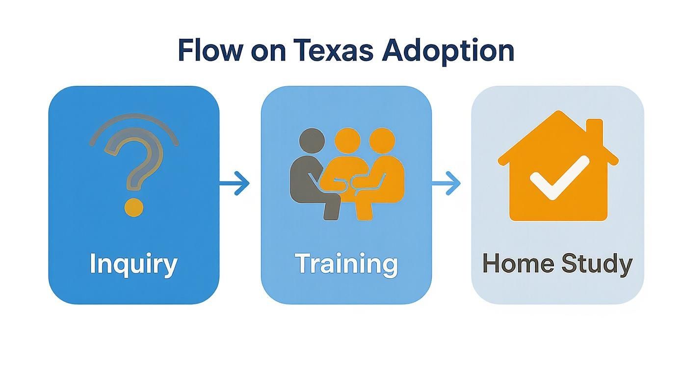 Flowchart illustrating the steps in Texas adoption process: Inquiry, Training, and Home Study, emphasizing preparation for prospective adoptive parents.
