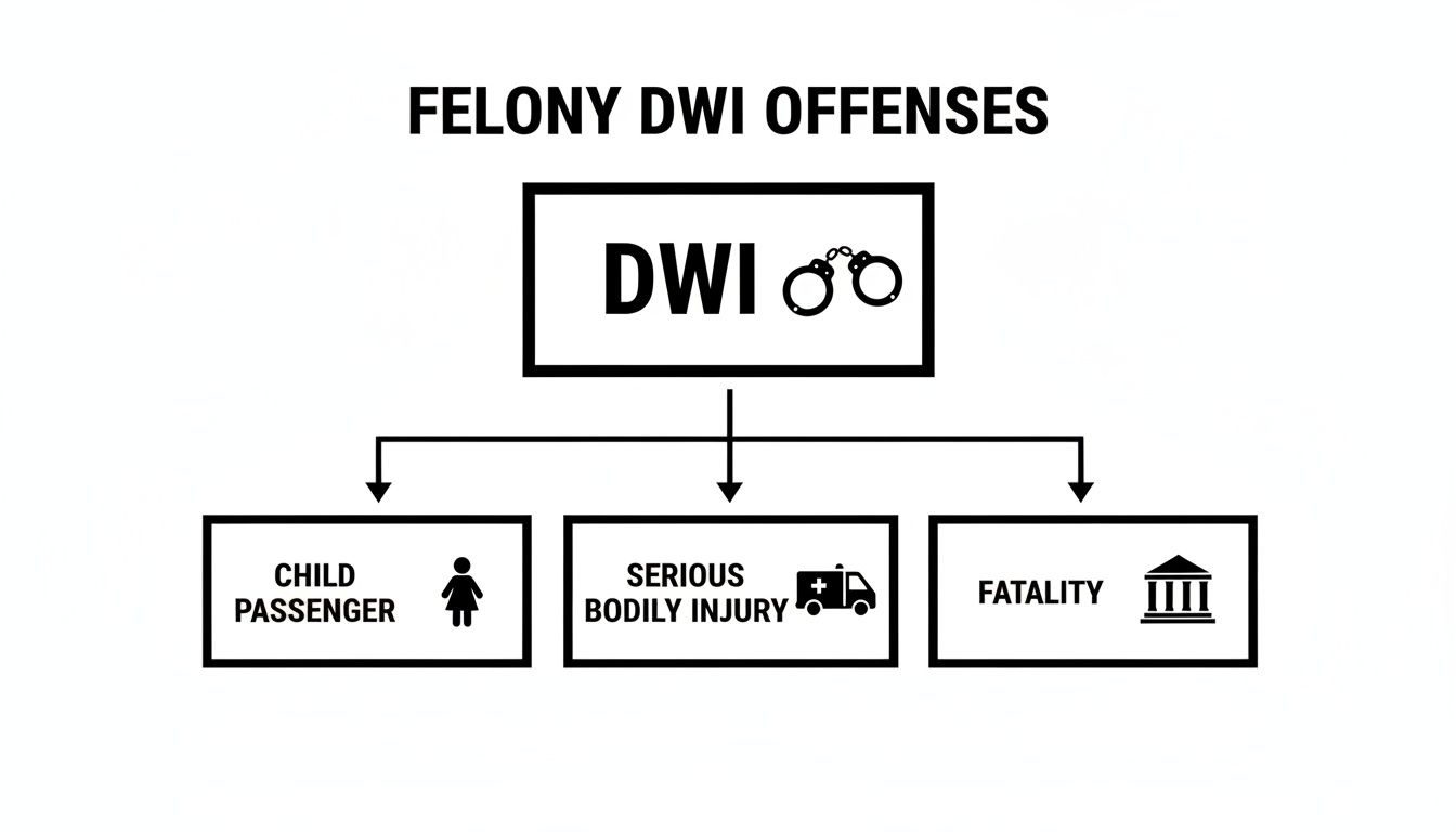 Flowchart illustrating felony DWI offenses based on child passenger, serious bodily injury, or fatality outcomes.