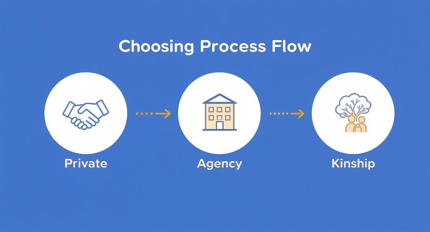 Infographic showing the process flow for choosing an adoption path including private, agency, and kinship options.