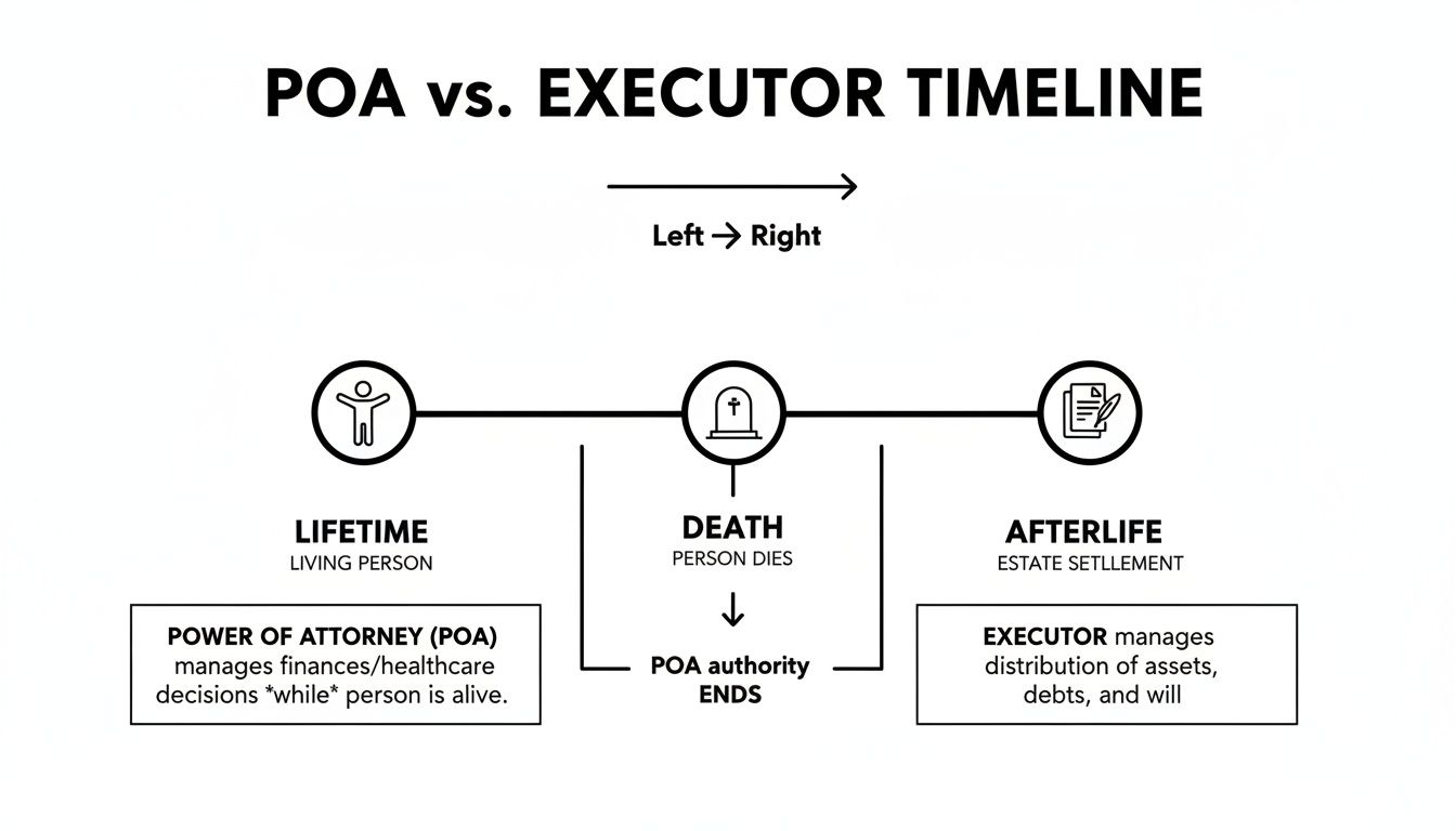 Power of Attorney vs Executor timeline infographic illustrating distinct roles: Power of Attorney manages finances and healthcare while the person is alive, ending at death; Executor handles estate settlement after death.