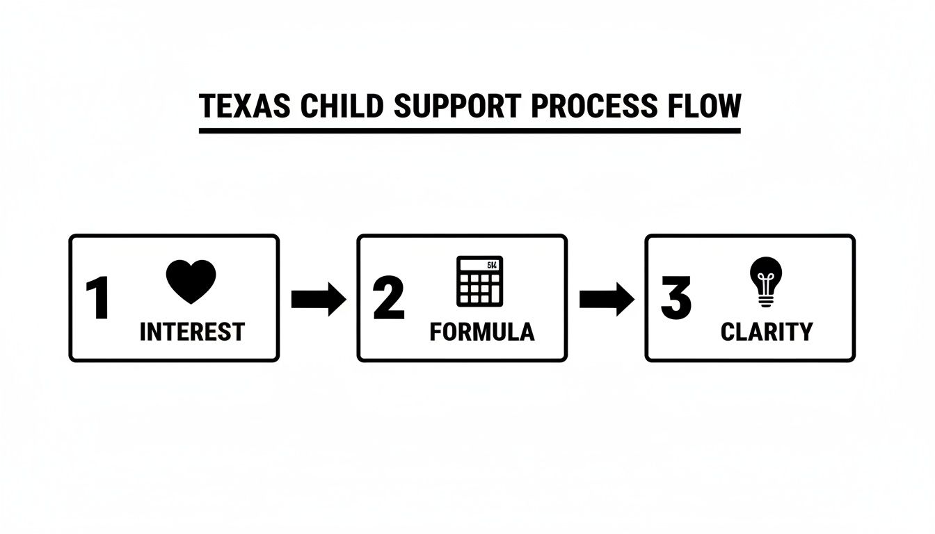 Three-step process flow for Texas child support: Interest, Formula, and Clarity.