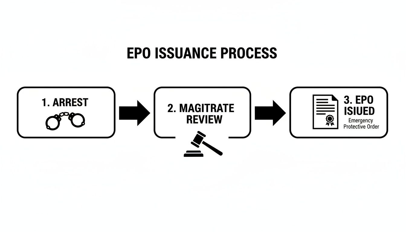 Flowchart illustrating the three-step process of Emergency Protective Order (EPO) issuance: arrest, magistrate review, and order issuance.