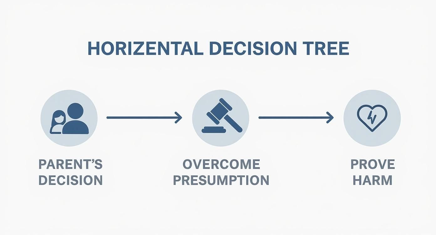 Infographic decision tree outlining the steps for grandparents to get visitation rights in Texas, including overcoming the parental presumption and proving harm to the child.