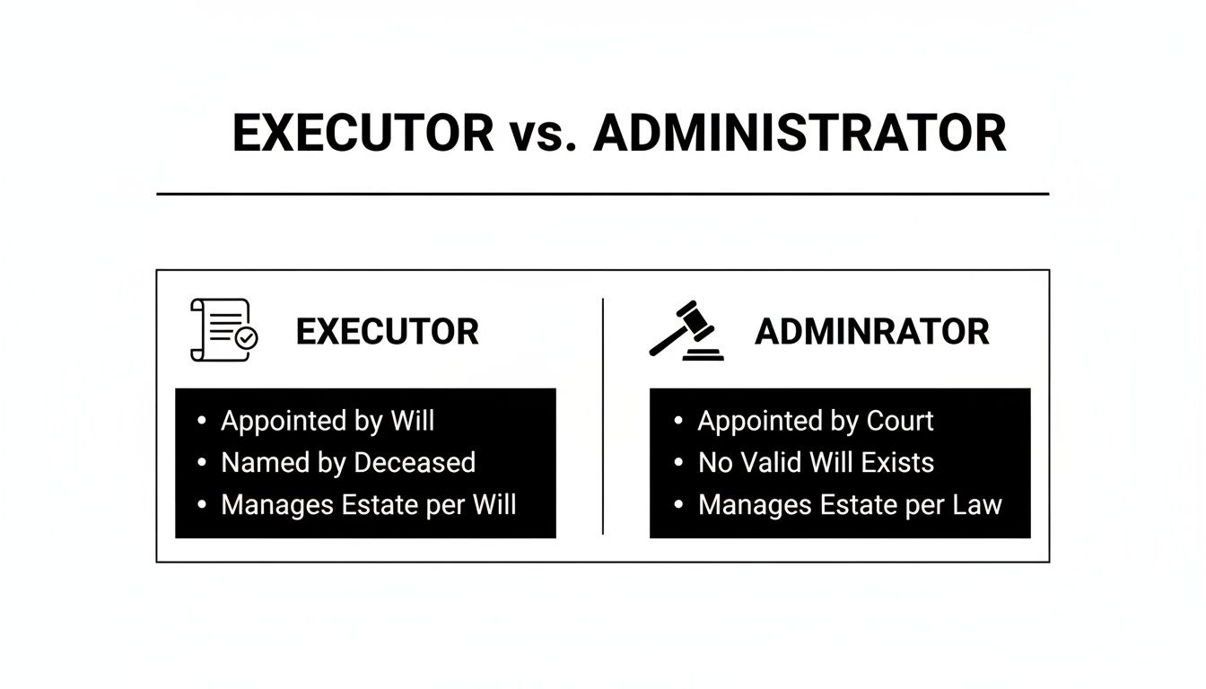A black and white infographic comparing the roles and appointments of an Executor vs. Administrator in estate management.