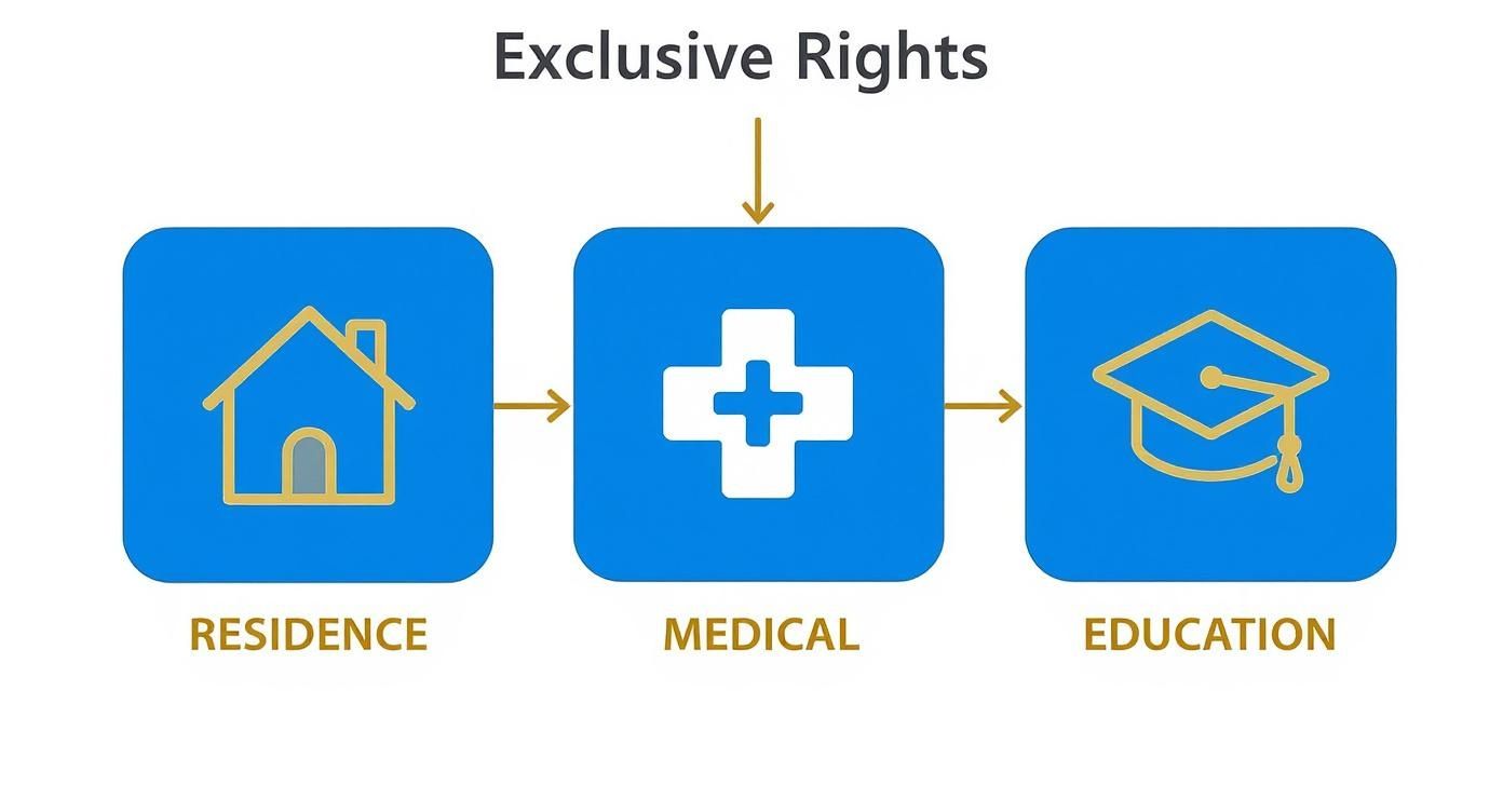 A diagram illustrating exclusive rights linked to residence, medical care, and education services.