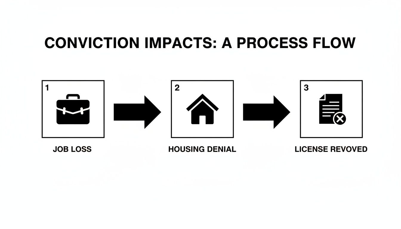 Conviction impacts process flow illustrating job loss, housing denial, and license revocation related to Class A misdemeanors in Texas.