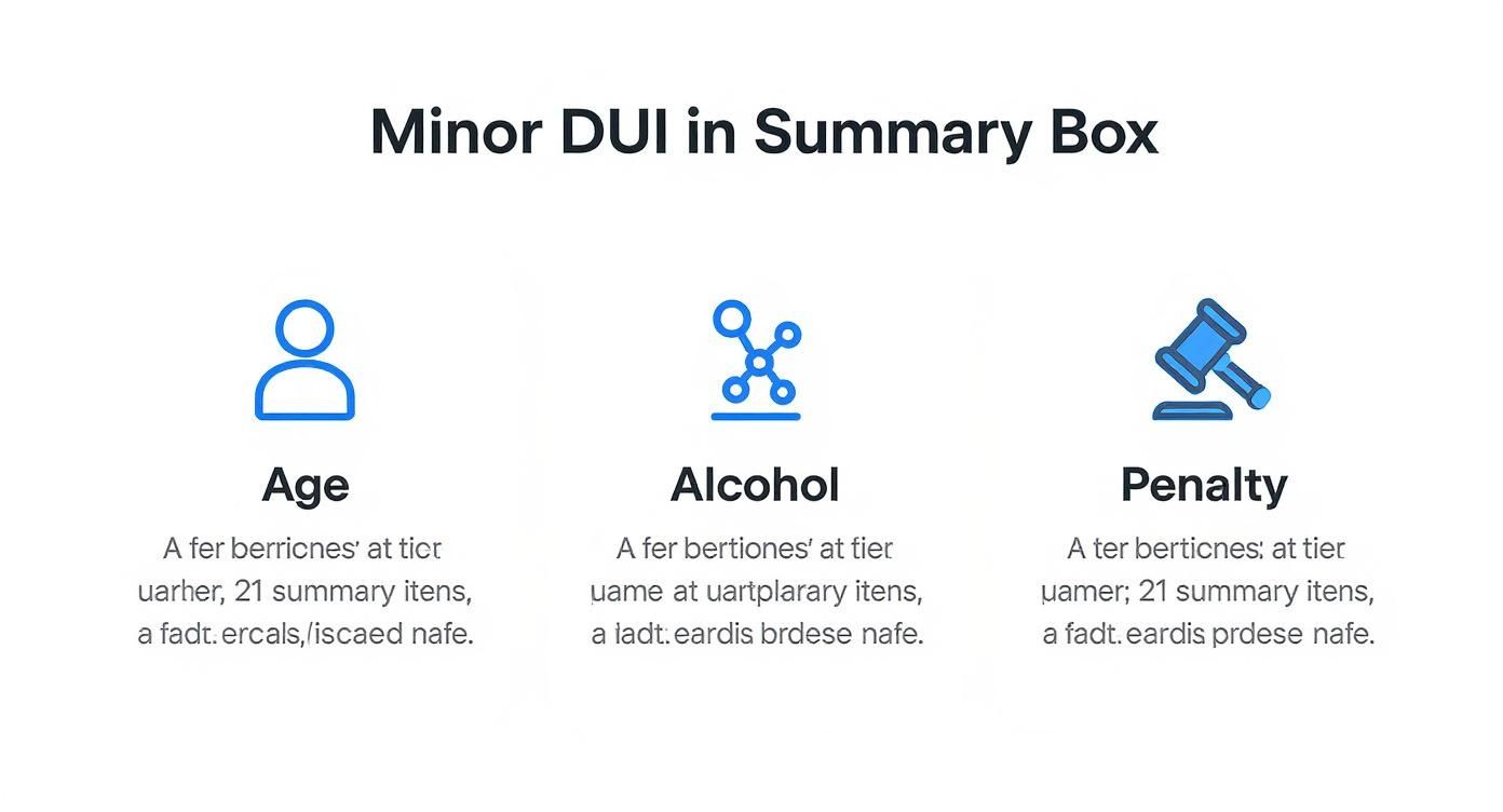 An infographic titled 'Minor DUI in Summary Box' with sections for Age, Alcohol, and Penalty.