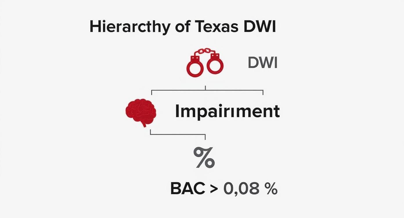 Hierarchy of Texas DWI infographic illustrating the relationship between DWI, impairment, and BAC threshold of 0.08%.