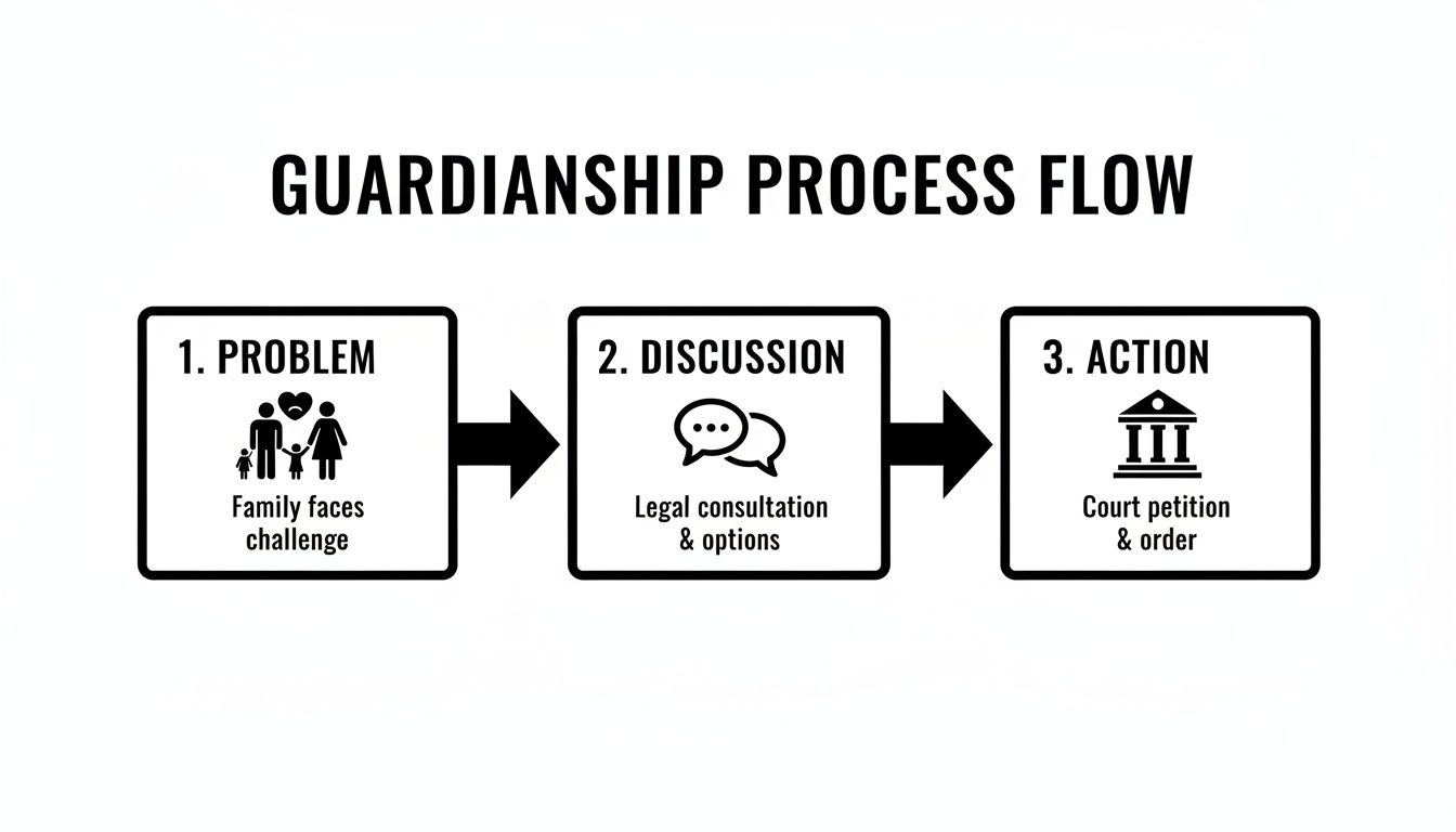 Guardianship process flow diagram showing three steps: 1. Problem - family faces challenge; 2. Discussion - legal consultation and options; 3. Action - court petition and order.