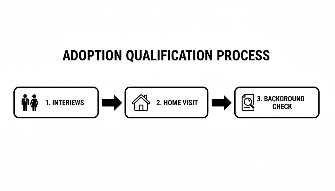 Flowchart outlining the adoption qualification process with interviews, home visit, and background check steps.