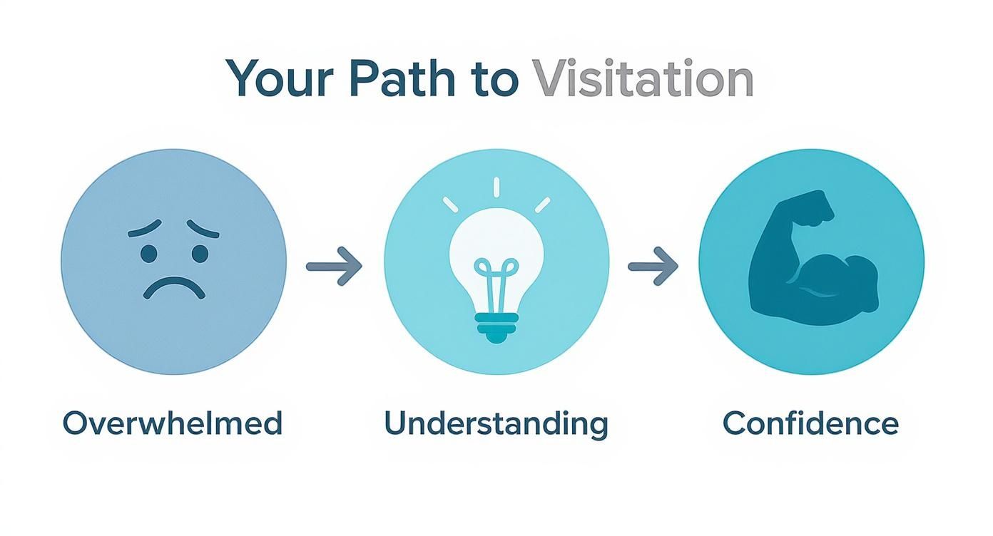 Infographic about child visitation rights for fathers