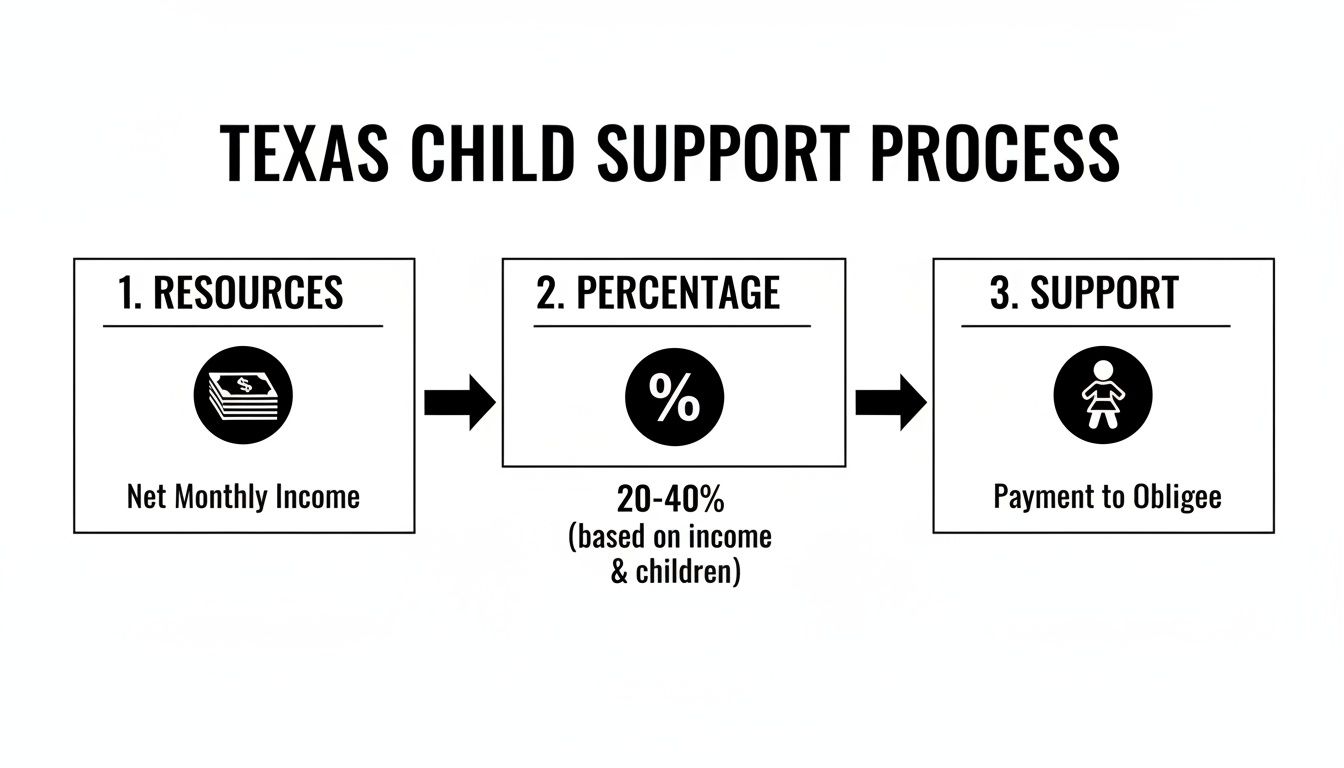 Flowchart illustrating the Texas child support calculation process from net income to payment.