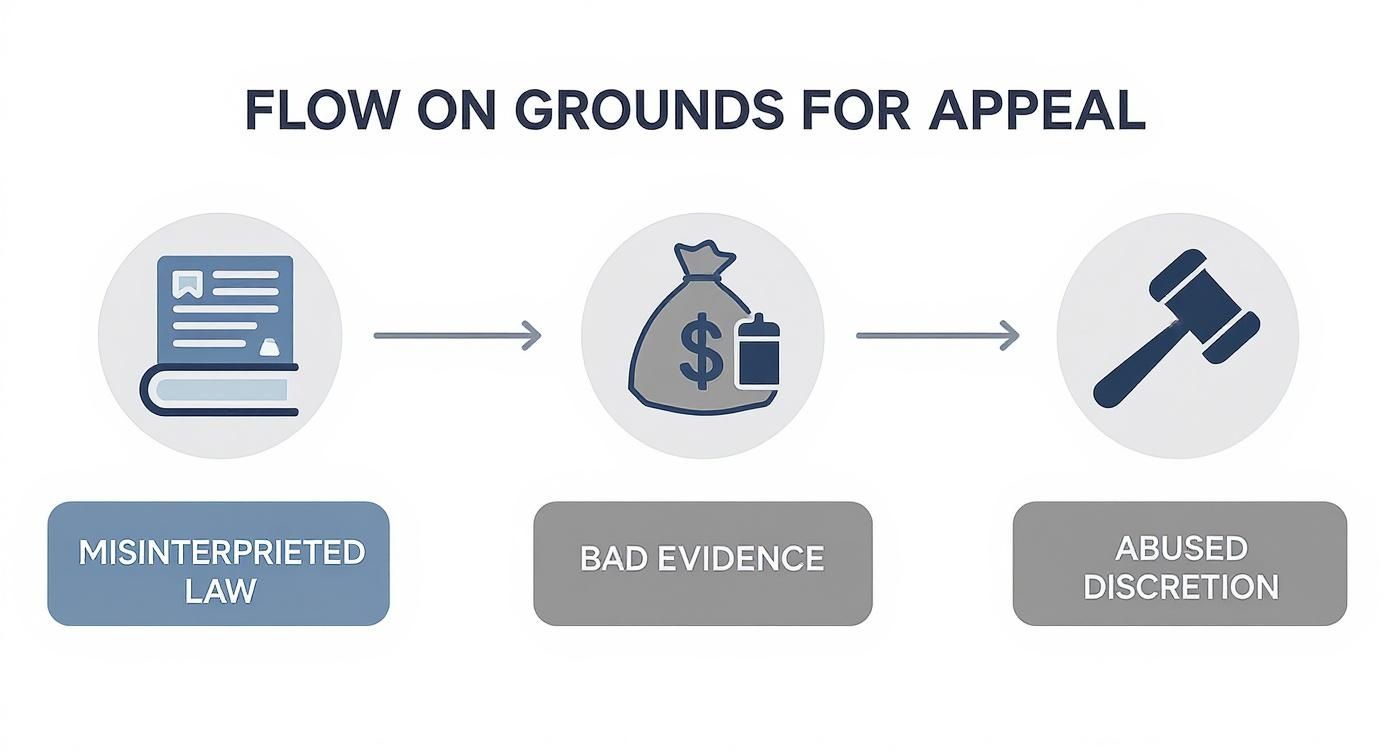 Flow chart illustrating grounds for appeal: misinterpreted law, bad evidence, and abused discretion with icons.