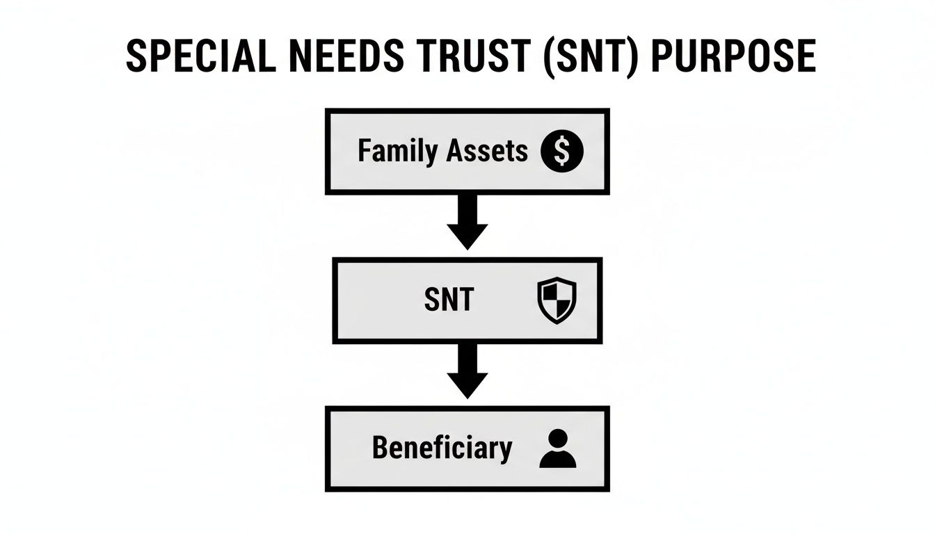Special Needs Trust (SNT) diagram illustrating the flow of family assets to the SNT for the benefit of the beneficiary, emphasizing protective financial management for individuals with disabilities.