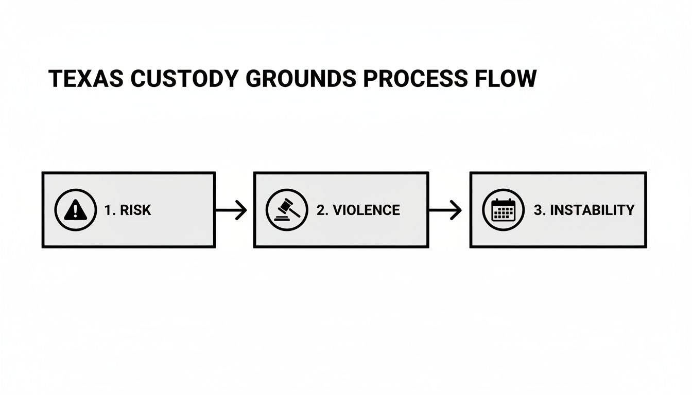 A flowchart illustrates the Texas custody grounds process, showing steps for risk, violence, and instability.