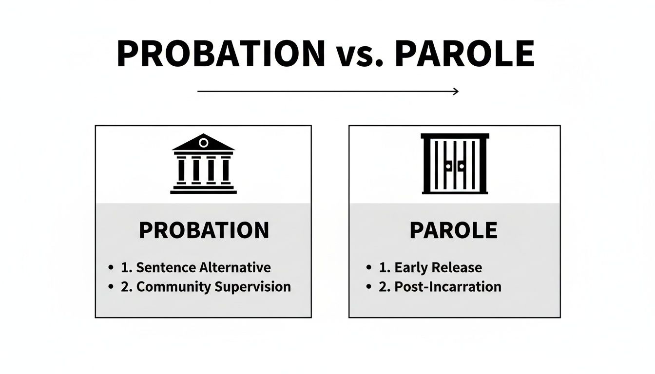 An infographic comparing probation (sentence alternative, community supervision) and parole (early release, post-incarceration).