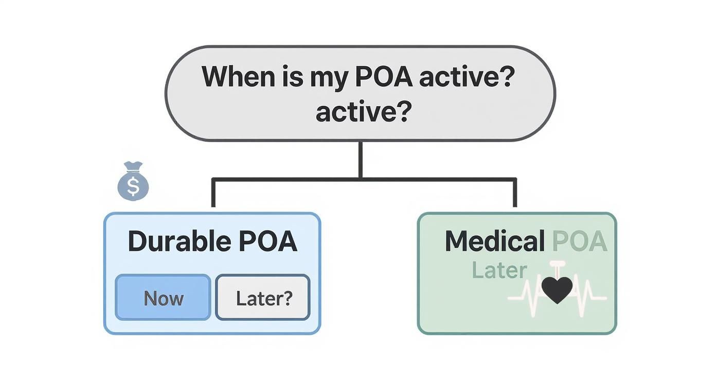 Decision flowchart comparing durable power of attorney active now versus medical power of attorney active later