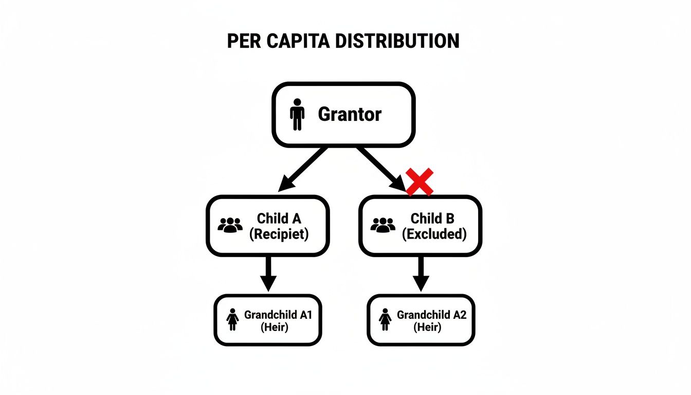 Flowchart illustrating per capita distribution from a grantor to children and grandchildren, with one child excluded.