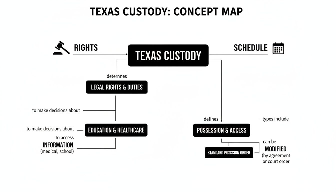 Concept map detailing Texas custody, including legal rights, duties, education, healthcare decisions, and possession schedules.