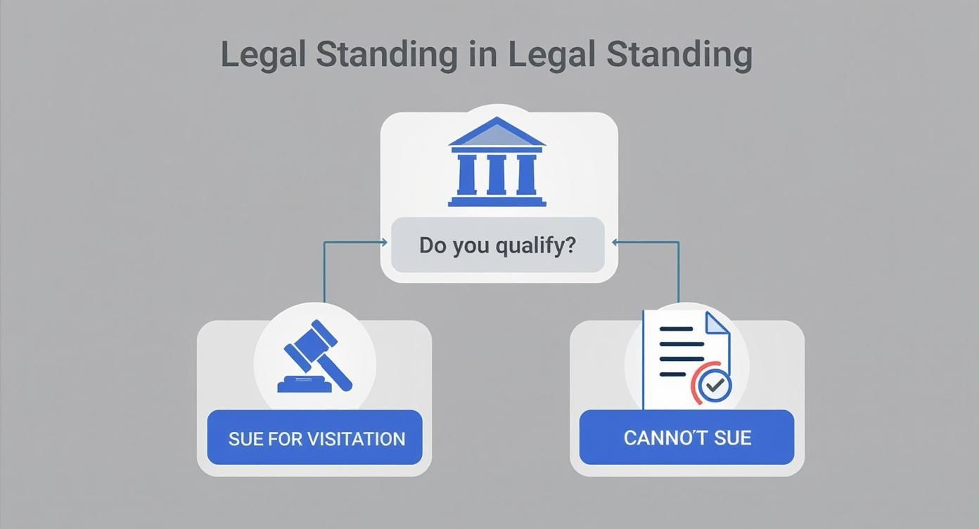 An infographic decision tree showing the path to suing for grandparent visitation in Texas.