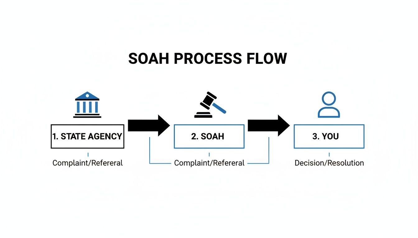 SOAH process flow diagram illustrating the steps between the state agency, SOAH as the neutral referee, and the individual facing administrative license revocation after a DWI arrest.