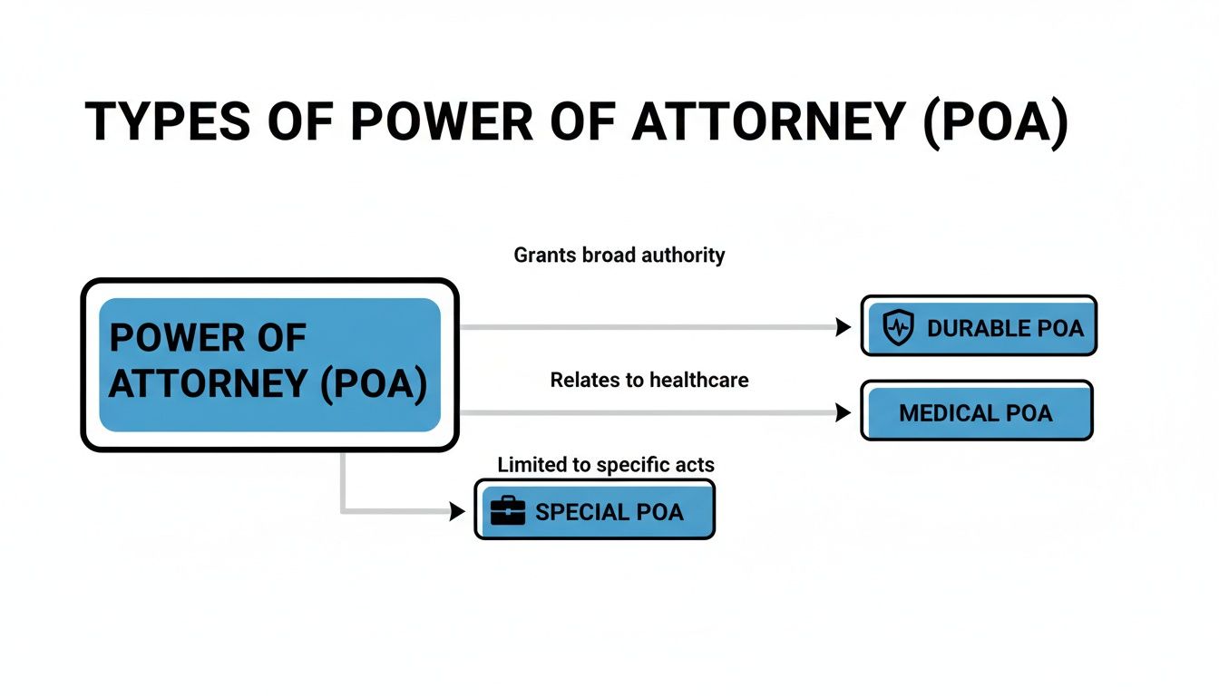 Types of Power of Attorney (POA) diagram illustrating broad authority, healthcare relations, and specific acts with labels for Durable POA, Medical POA, and Special POA.