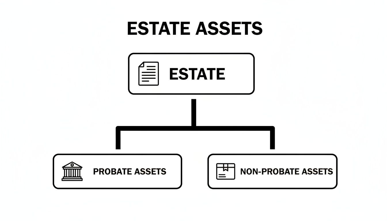 A flowchart illustrating estate assets, categorized into probate assets and non-probate assets.