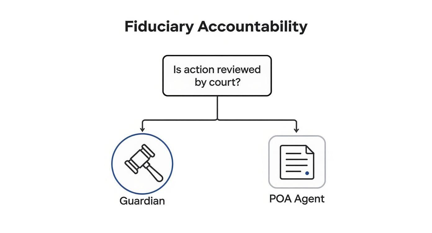 A flowchart titled 'Fiduciary Accountability' comparing guardians and POA agents regarding court review.