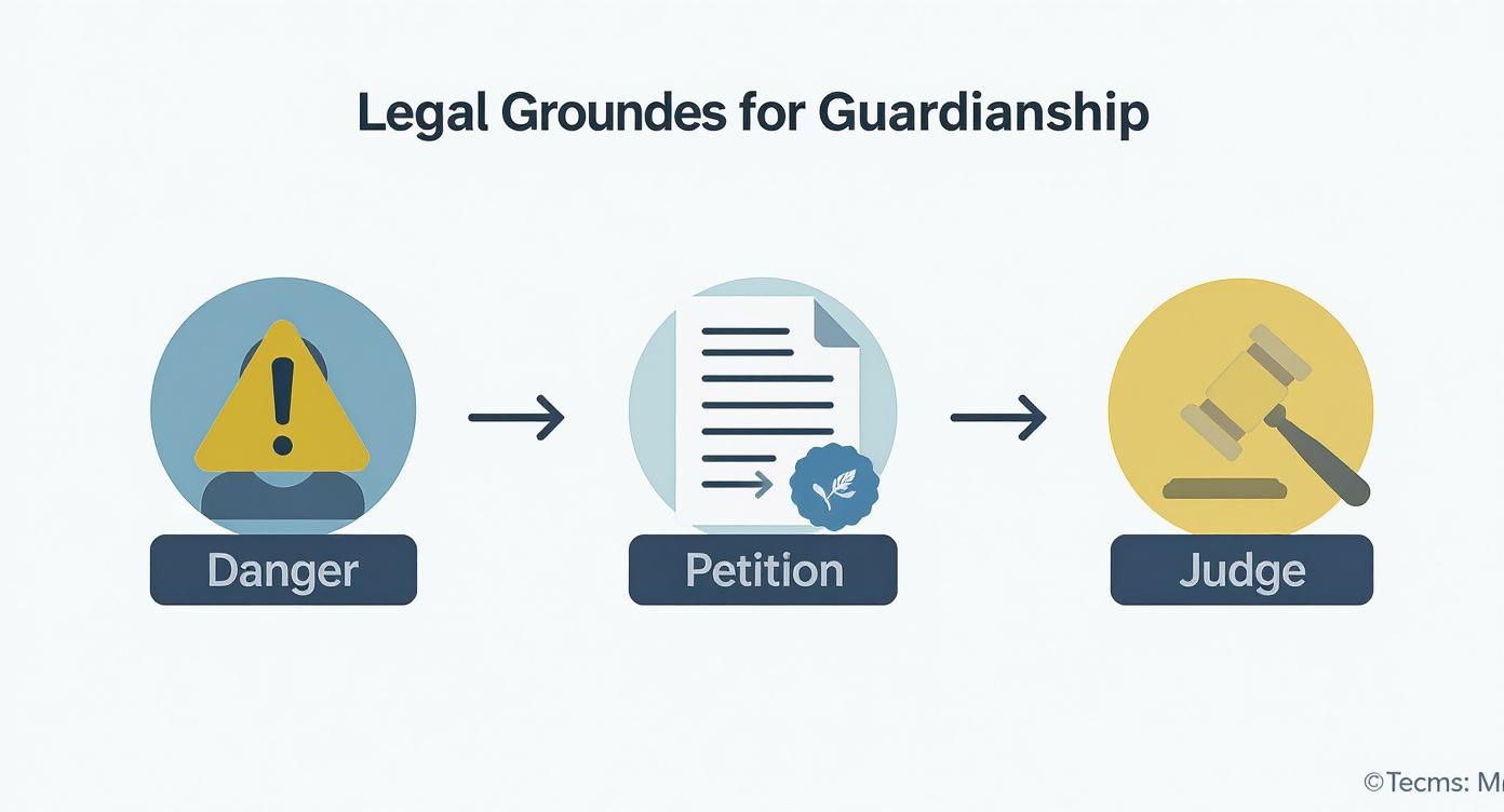 Infographic about emergency guardianship texas