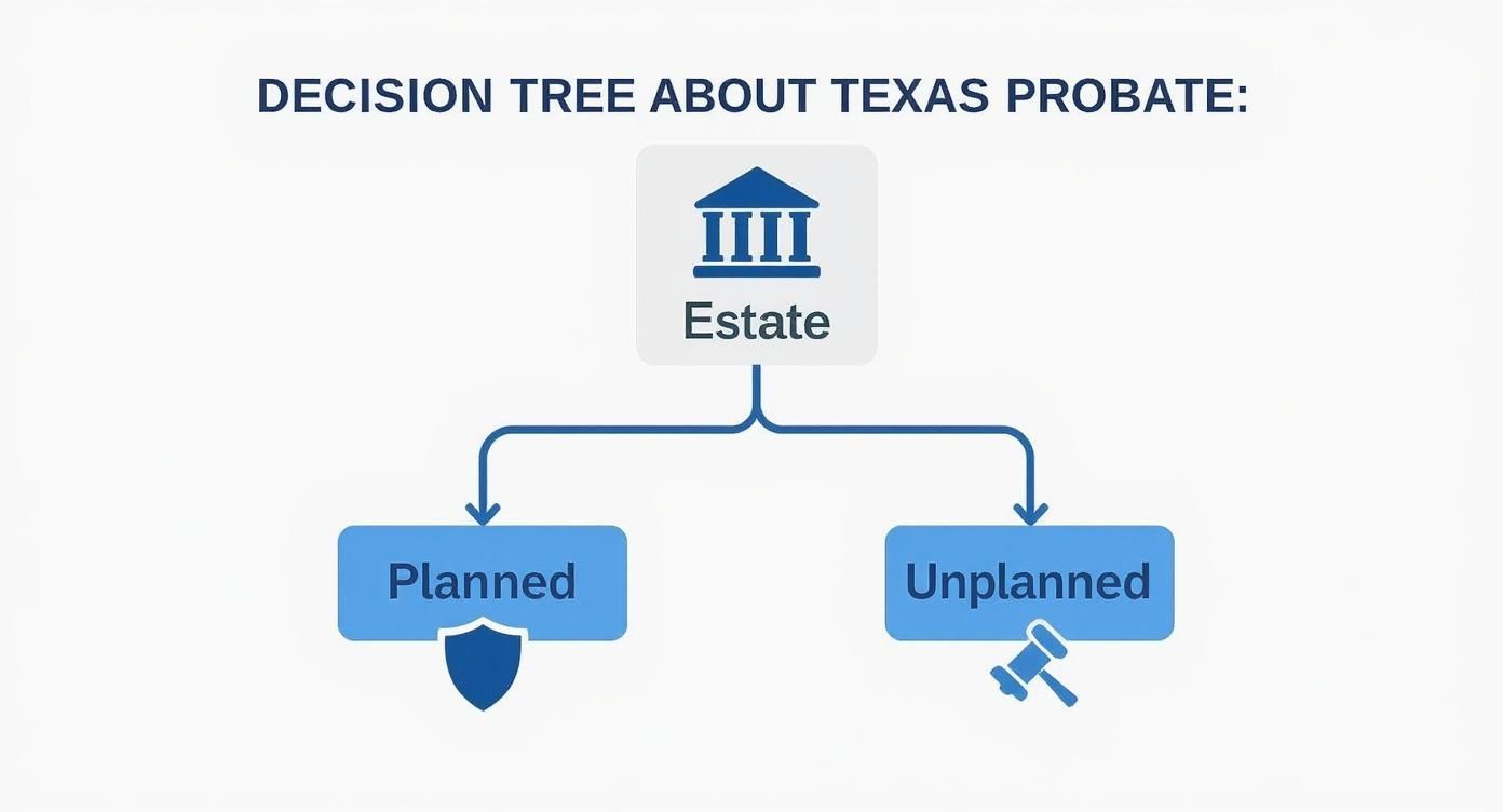 Decision tree illustrating Texas probate options: "Planned" estate with shield icon and "Unplanned" estate with gavel icon, emphasizing the importance of proactive estate planning.