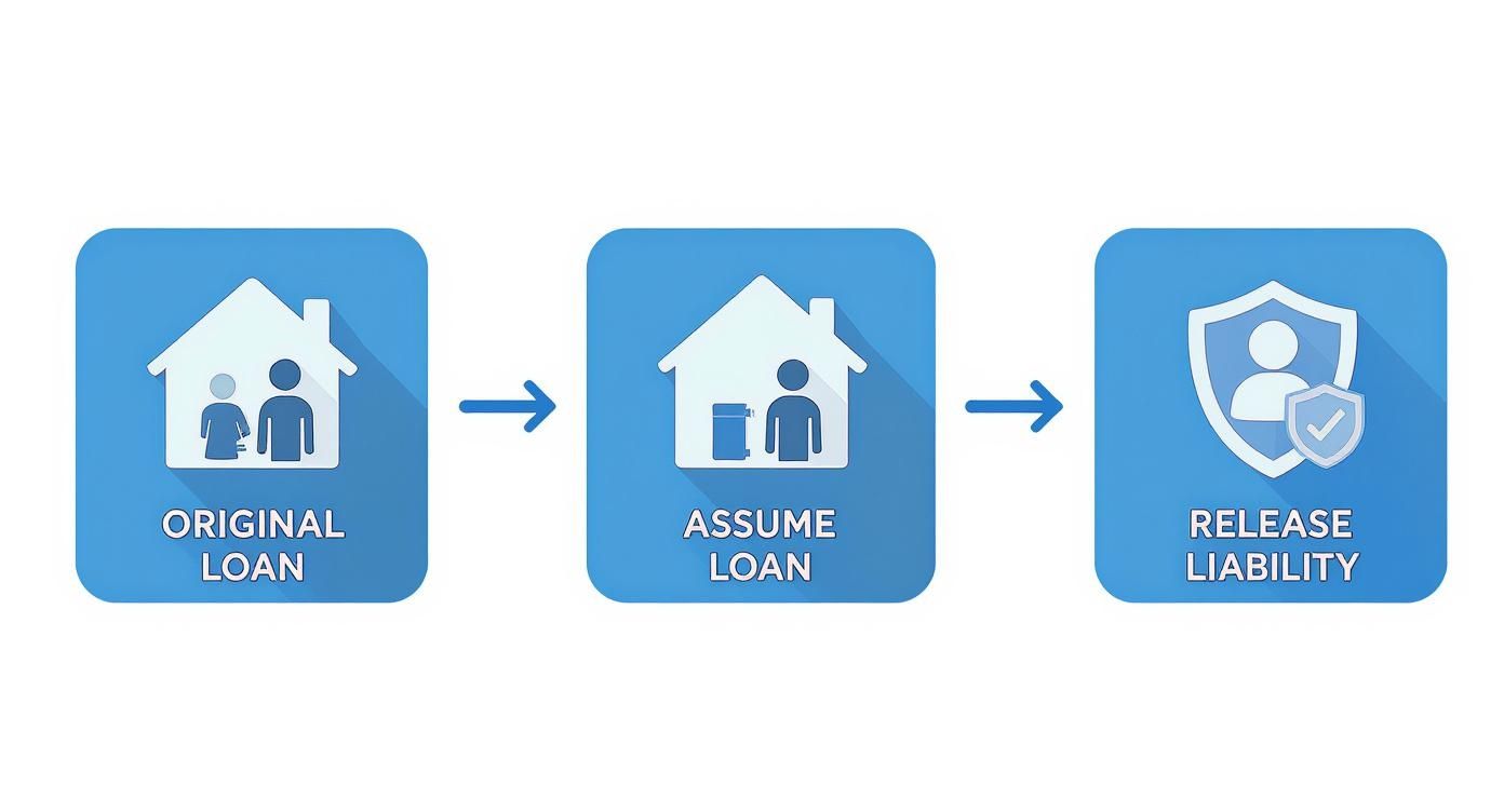 Infographic about divorce loan assumption