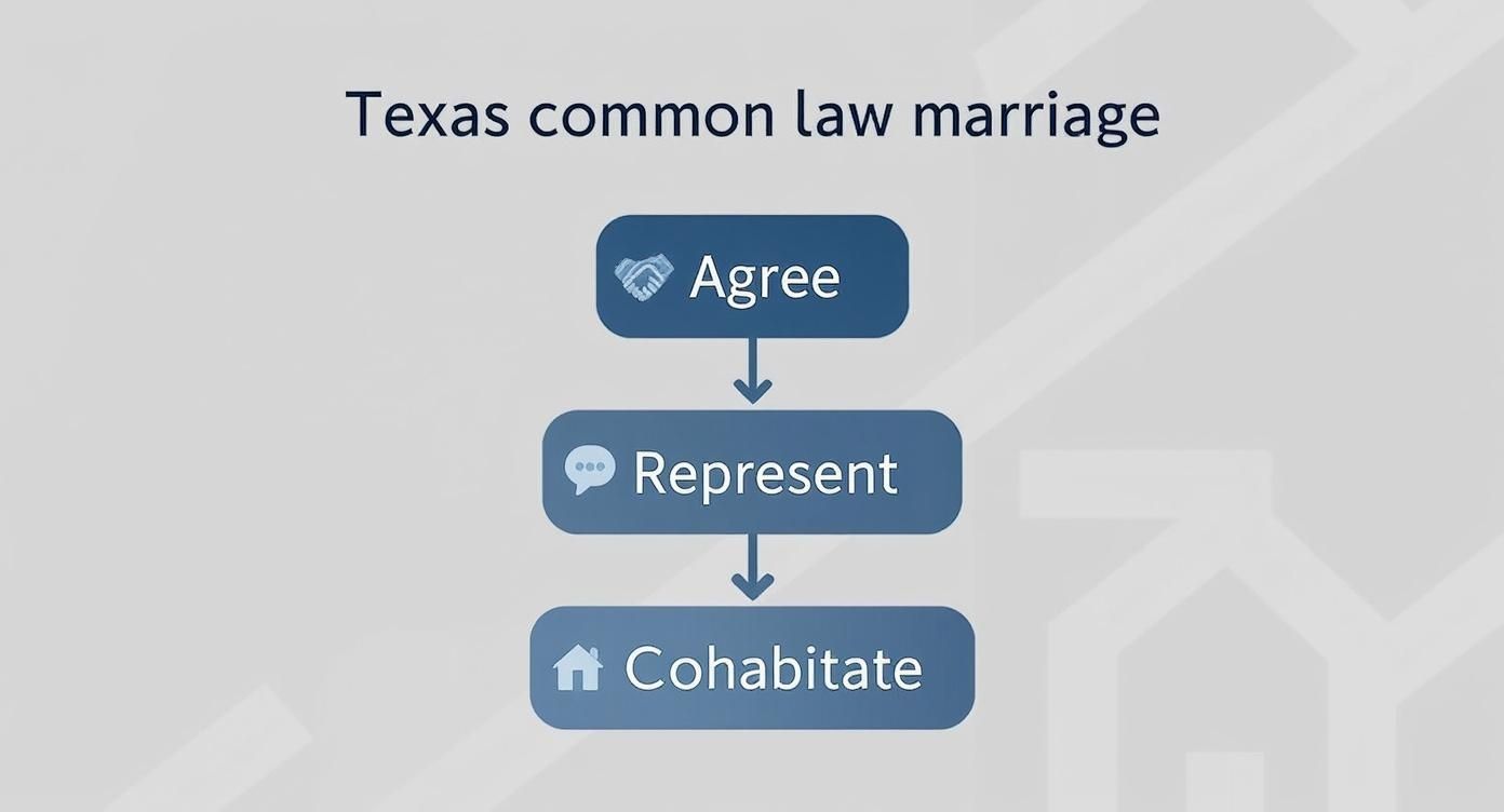 Infographic about common law marriage in texas requirements