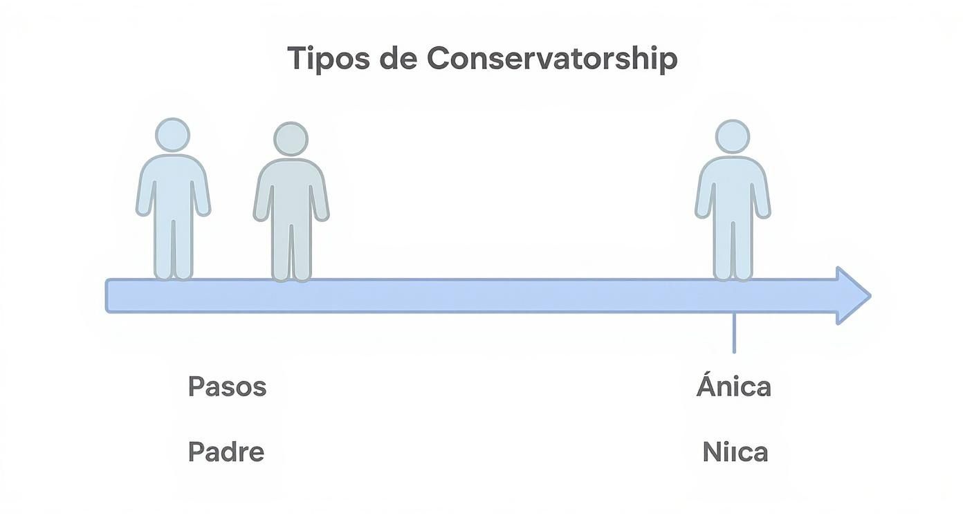 Diagrama visual de tipos de tutela, con figuras humanas, una flecha de tiempo y términos legales clave.