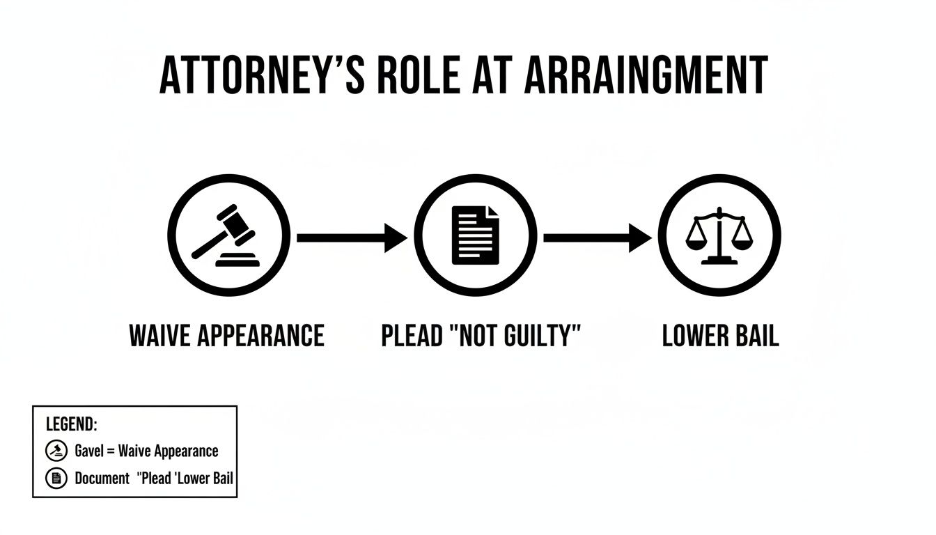 Flowchart detailing an attorney's role at arraignment: waive appearance, plead not guilty, lower bail.