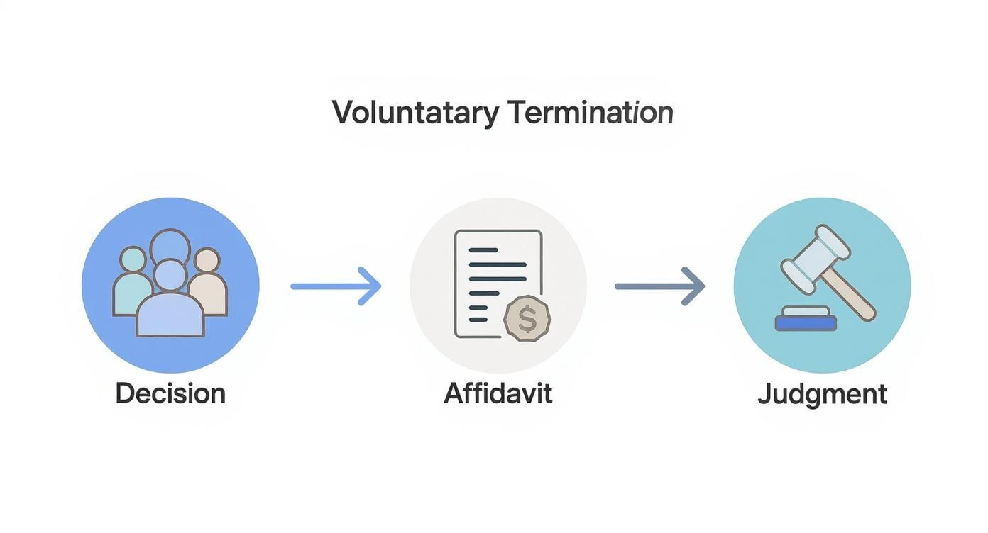 Infographic showing the three main steps in a voluntary termination of parental rights process: the parent's decision, signing a legal affidavit, and the final court judgment.