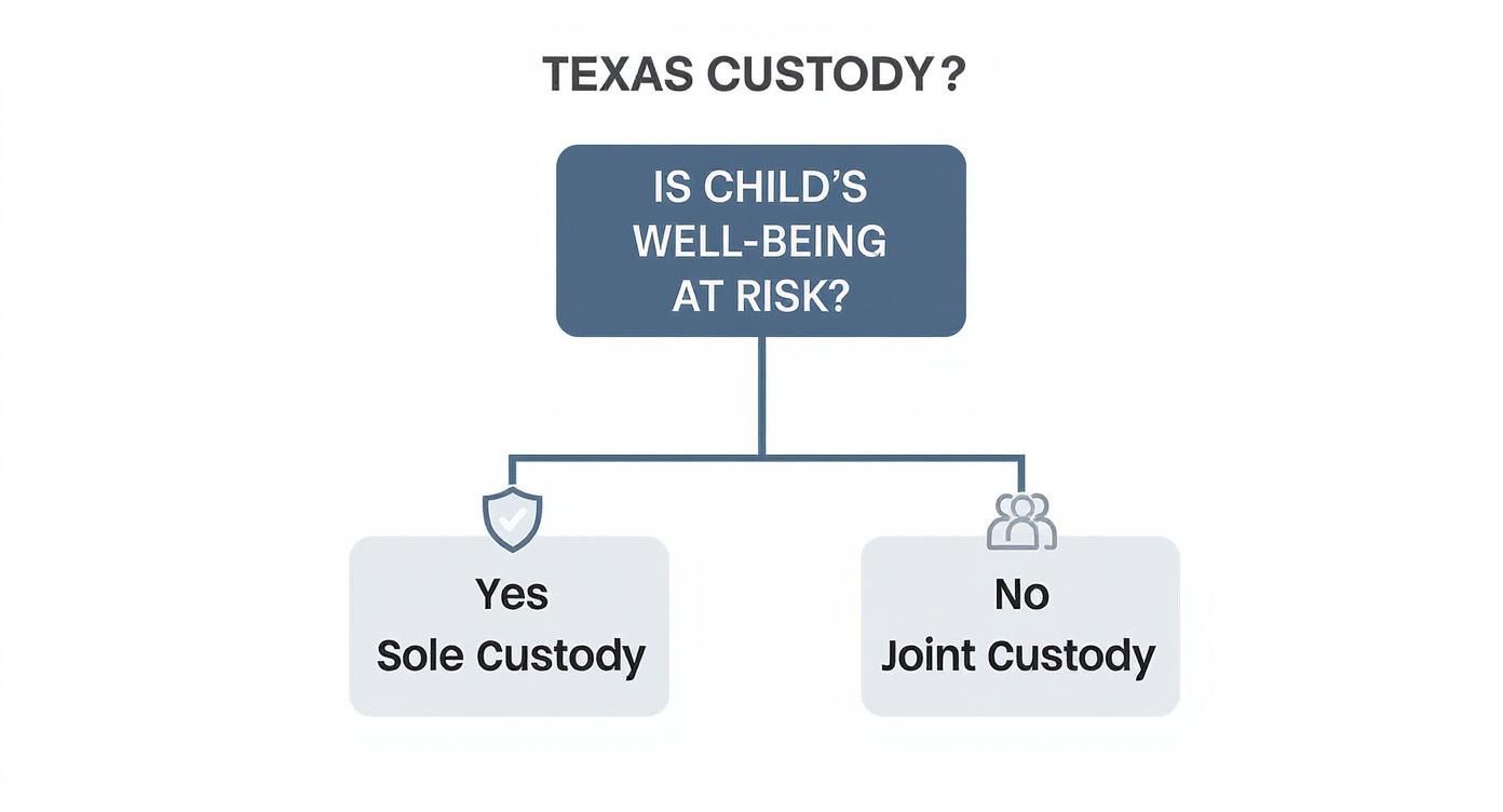 Infographic decision tree asking 'Is Child's Well-being at Risk?', with a 'Yes' branch leading to Sole Custody and a 'No' branch leading to Joint Custody.