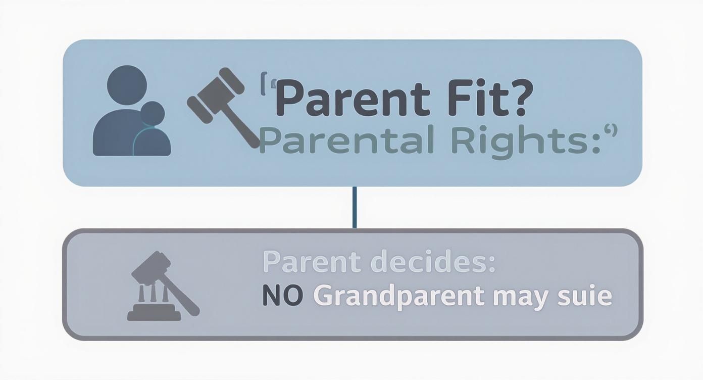 Infographic decision tree showing that if a parent is fit, the parent decides visitation, but if the parent is not fit, a grandparent may sue for visitation.