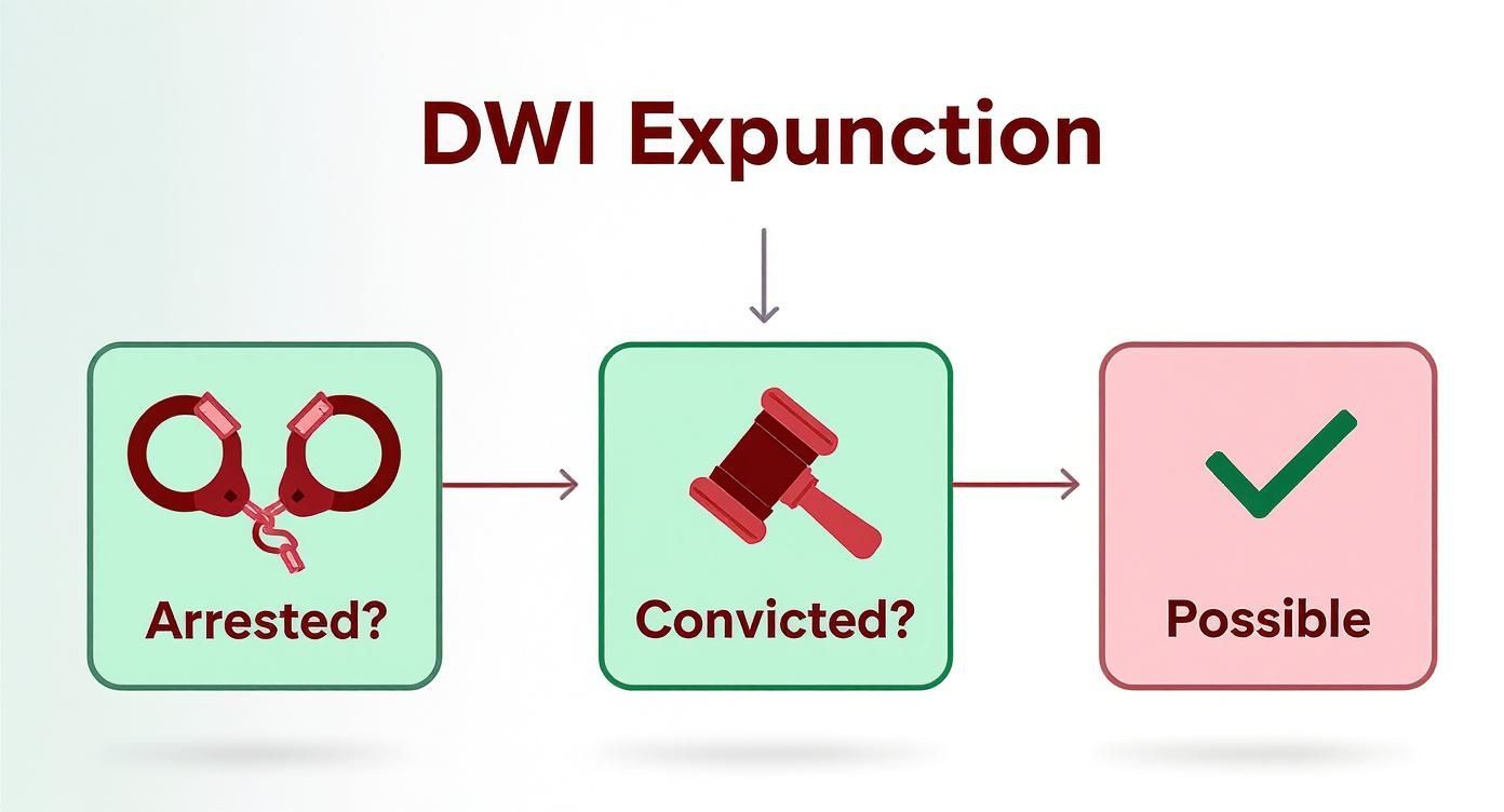 Infographic about expunging a dwi in texas