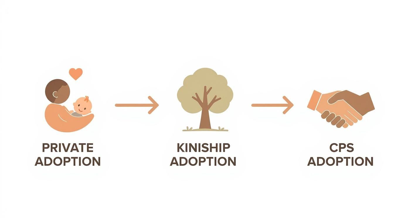 Infographic showing the process flow for private, kinship, and CPS adoption paths in Texas.