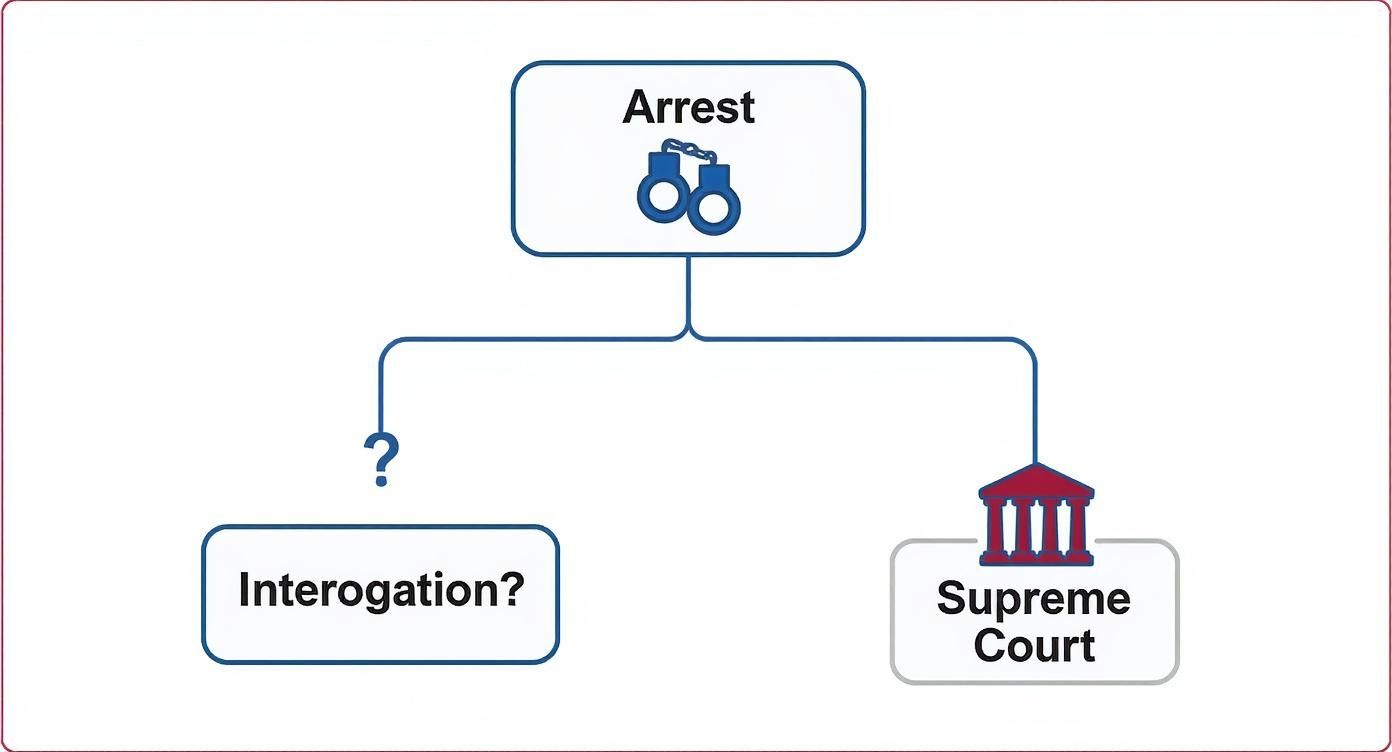 A flowchart showing the legal process from arrest, branching to interrogation and the Supreme Court.