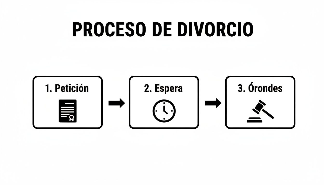 Diagrama de flujo que ilustra el proceso de divorcio con los pasos de petición, espera y órdenes judiciales.