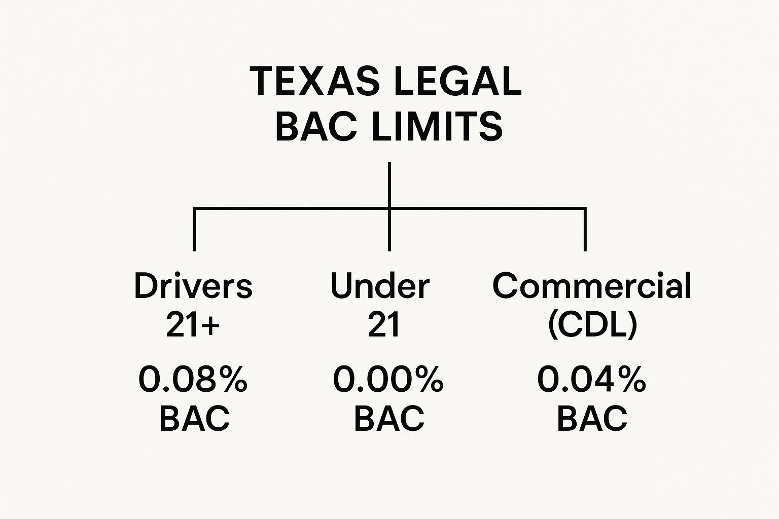 Texas legal BAC limits chart for drivers 21+, under 21, and commercial drivers, displaying specific percentages: 0.08%, 0.00%, and 0.04% BAC, respectively.