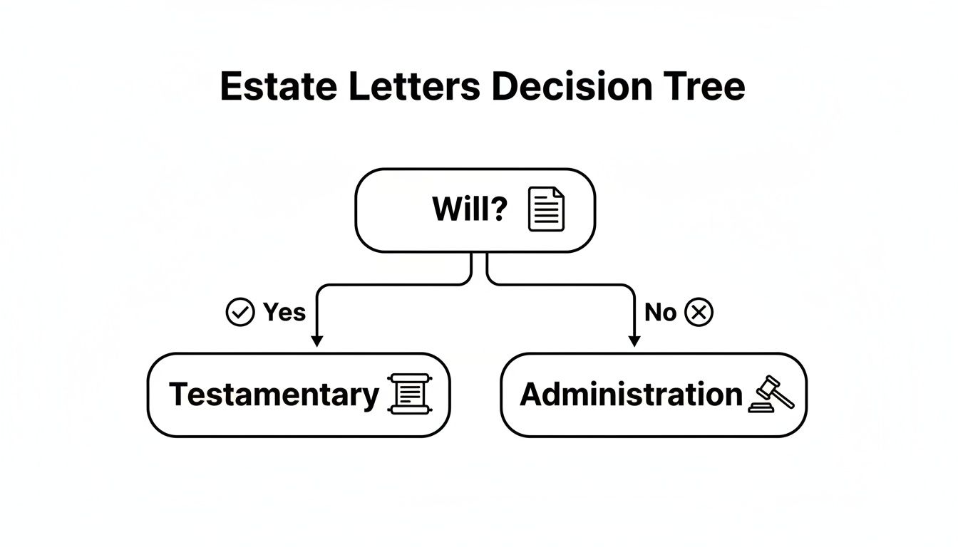 Decision tree illustrating the process for estate letters: Testamentary if there's a will, Administration if not.