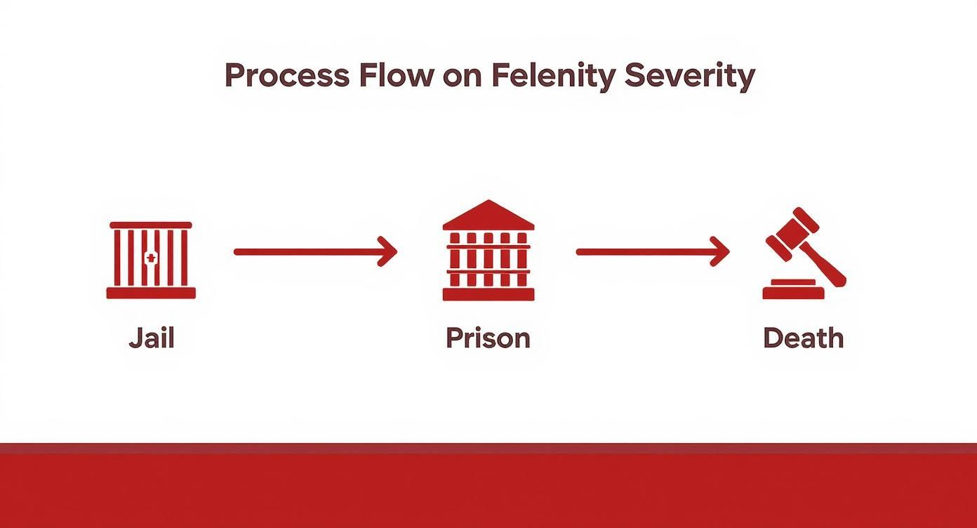 Infographic showing the escalating severity of felony punishments from jail to prison to the death penalty.