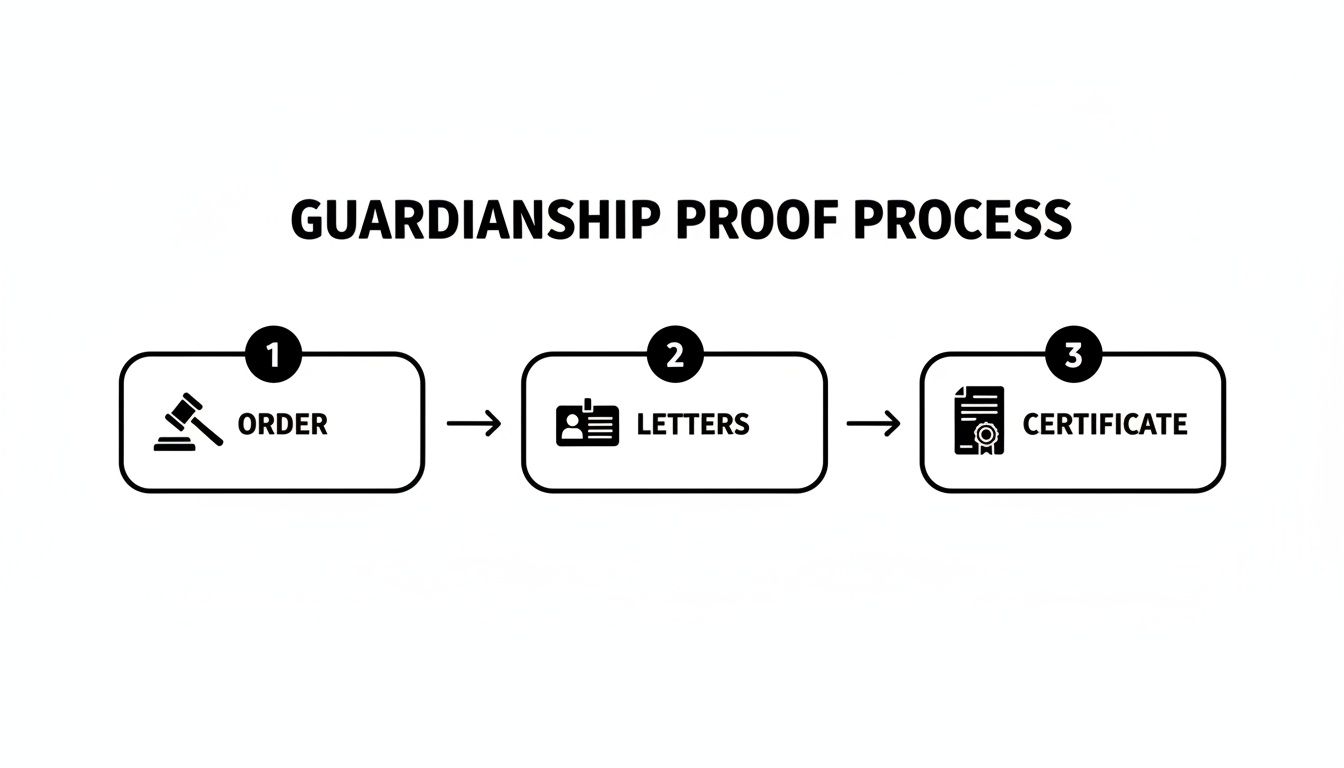 A three-step guardianship proof process diagram, including order, letters, and certificate stages with icons.