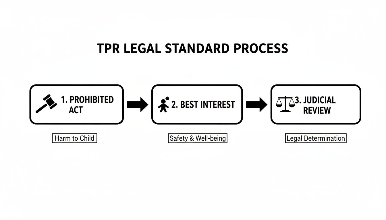 Flowchart of the TPR legal standard process: prohibited act, best interest, and judicial review, highlighting child safety.