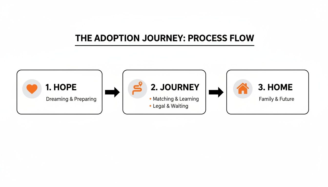 A process flow diagram illustrating the adoption journey through three key steps: Hope, Journey, and Home.