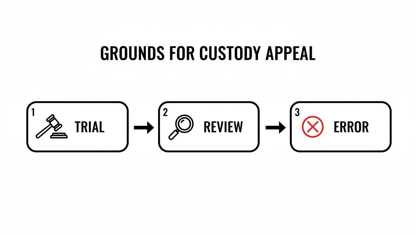 Flowchart illustrating the grounds for a custody appeal, detailing steps from trial to review and identifying errors.