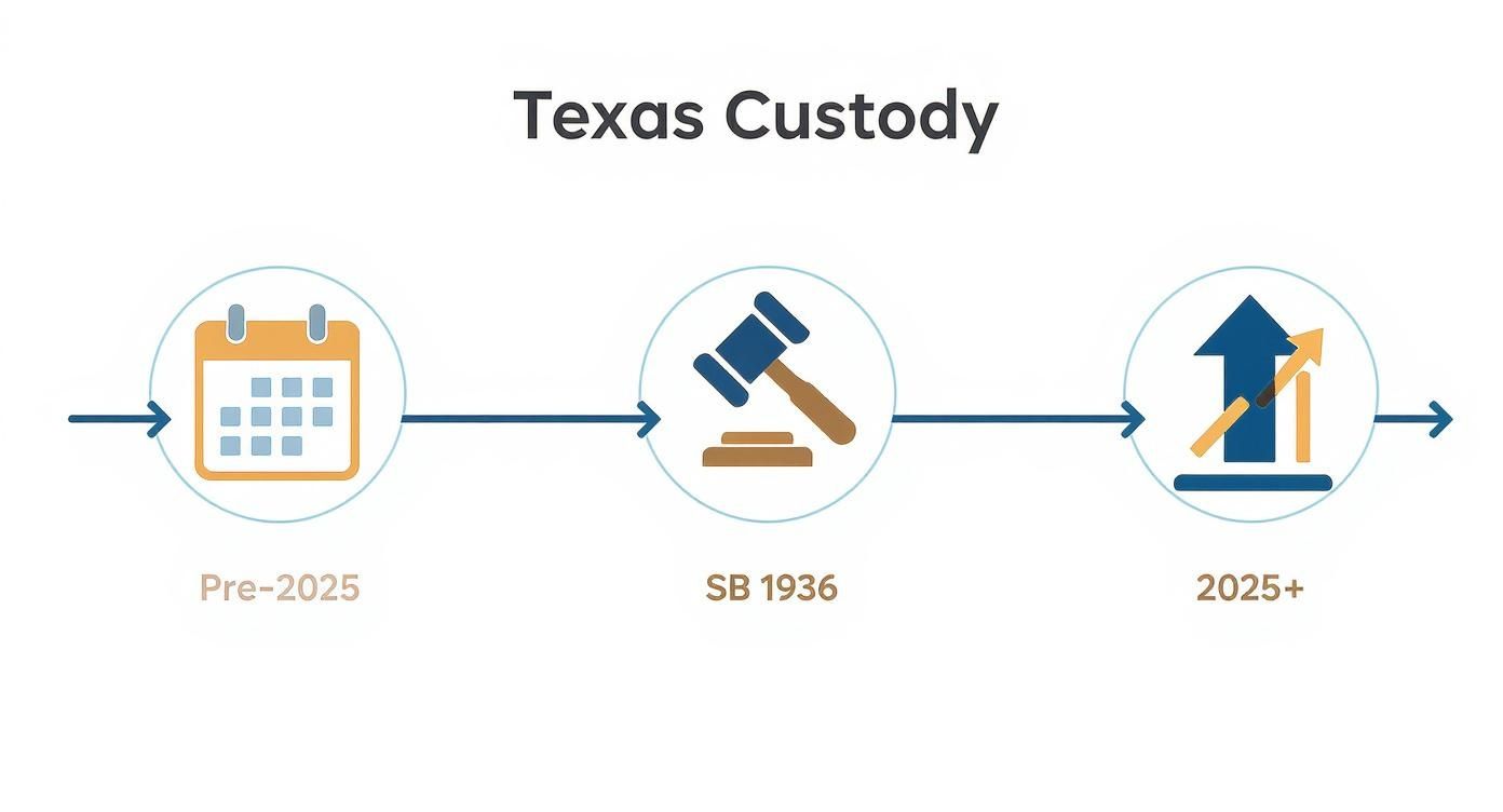 Infographic about shared custody in texas